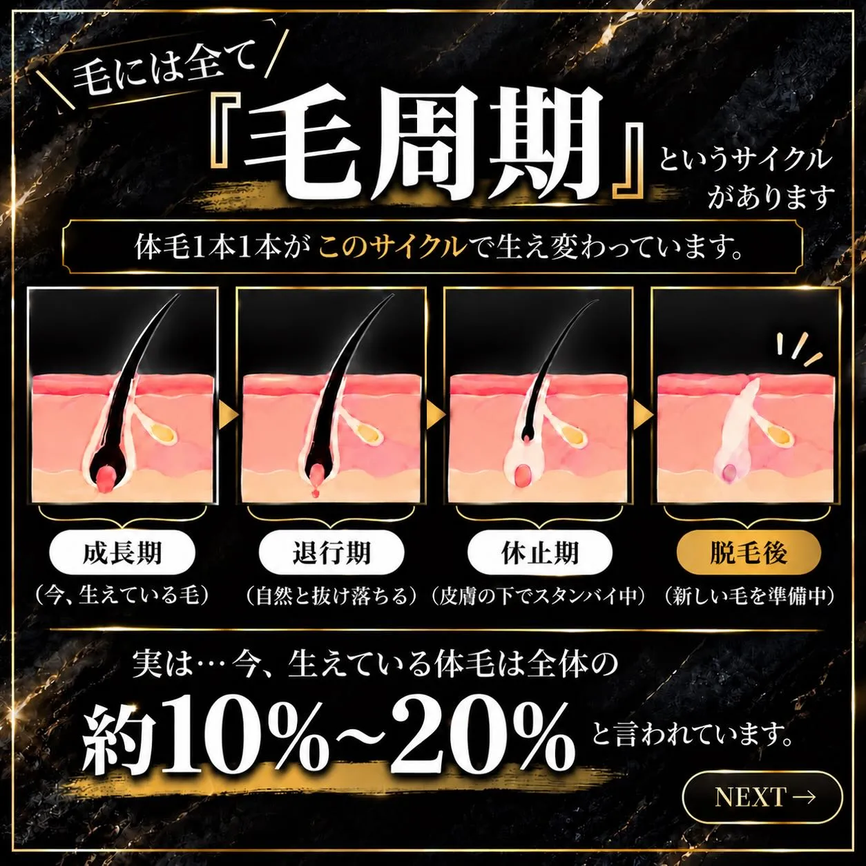 「短く小さな毛が残っている…」